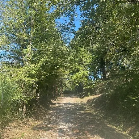 Little Umbria * Ficulle